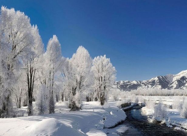 Luxurious Kashmir