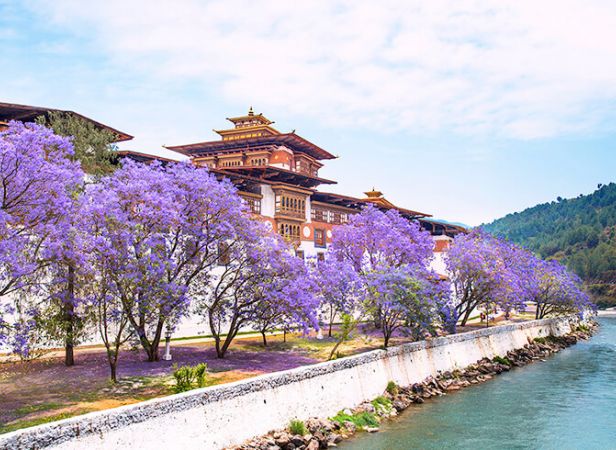 Bhutan Tour