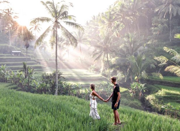 Tegalalang Rice Terrace