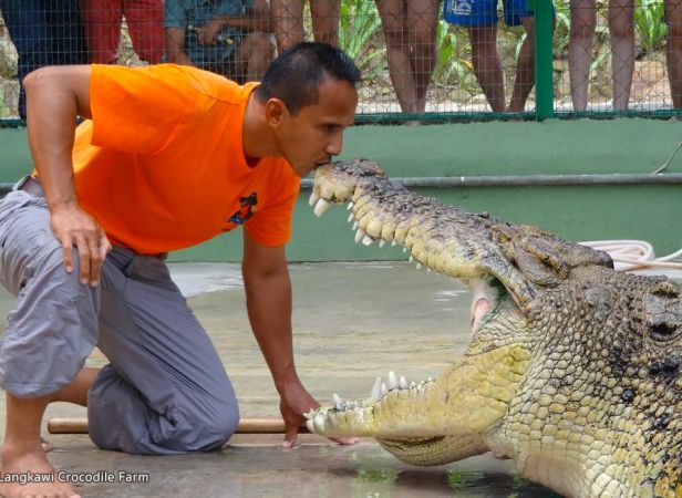 Langkawi Crocodile Farm Tour