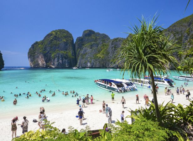 Phi Phi Island tour with lunch with national park fee