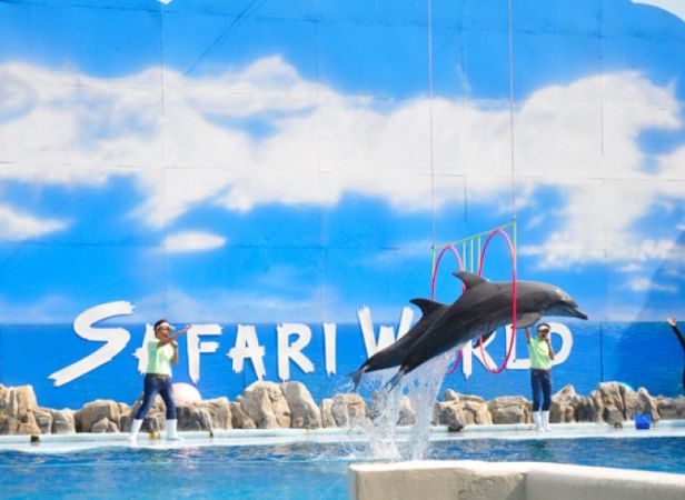 Safari World Package A: Safari Park + Marine Park + Lunch (1-9 Pax)