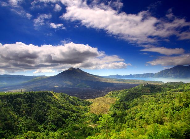 Ubud and Kintamani Full Day tour