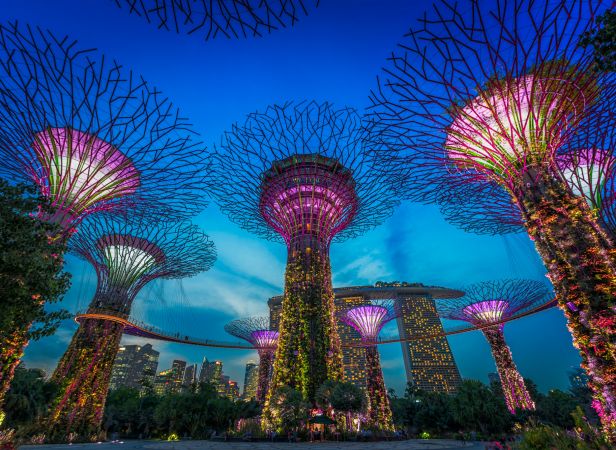 Garden By The Bay With Return Transfers