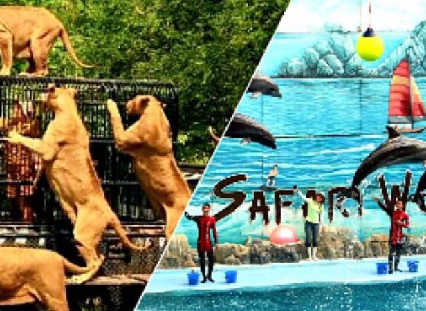 Safari World and Marine Park Tour with Transfer