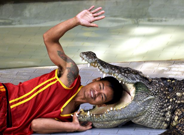 Damnoen saduak floating market  and Crocodile Farm with lunch