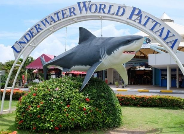 Underwater world pattaya