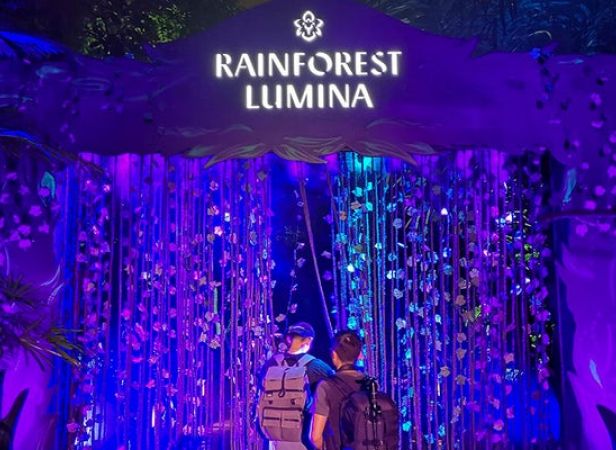 Rainforest Lumina With Return Transfer Shared