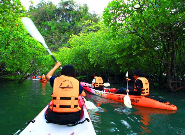 One day Kayaking tour at Borthor