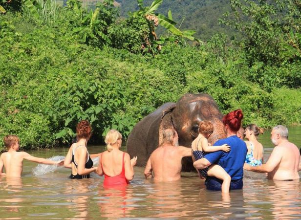 Experience Elephant Riding & Bamboo Rafting Tour