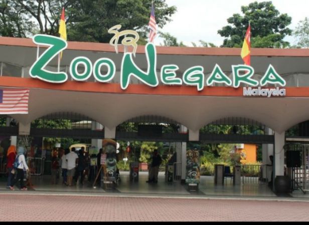 Zoo Negara Ticket With Return Transfer